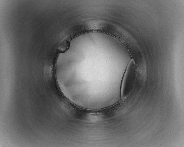 X0000112940556200909141349