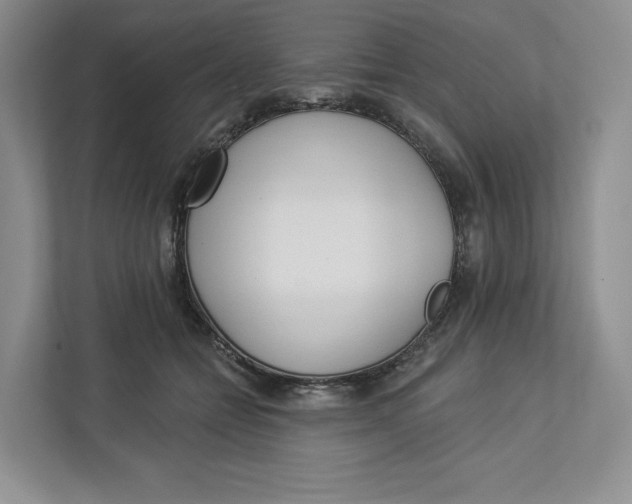 X0000112940558200909141349