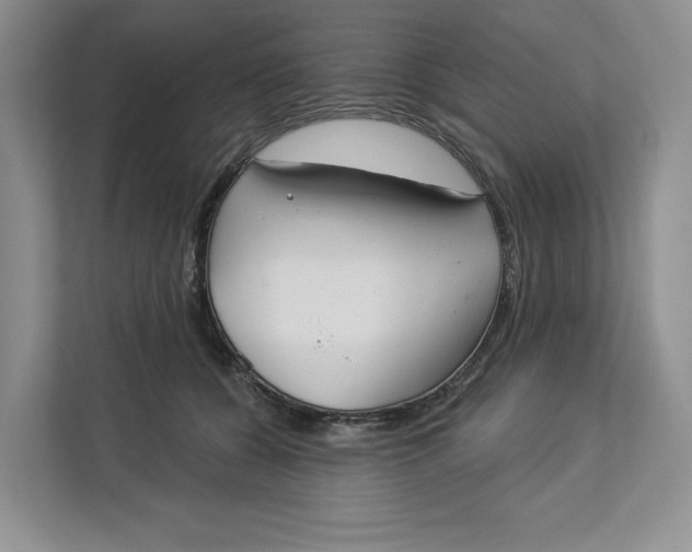 X0000112940560200909141349