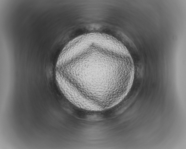 X0000112940561200909141349