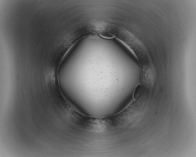 X0000112940562200909141349