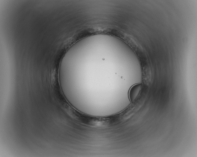 X0000112940563200909141349