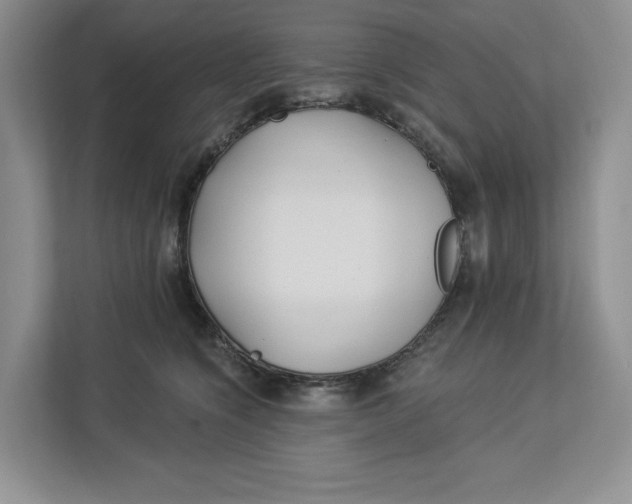 X0000112940564200909141349