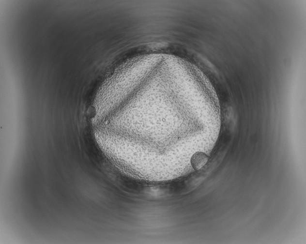 X0000112940565200909141349