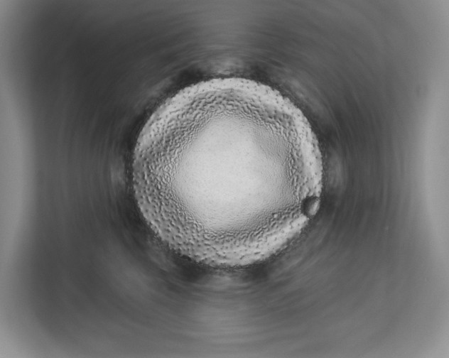 X0000112940569200909141349