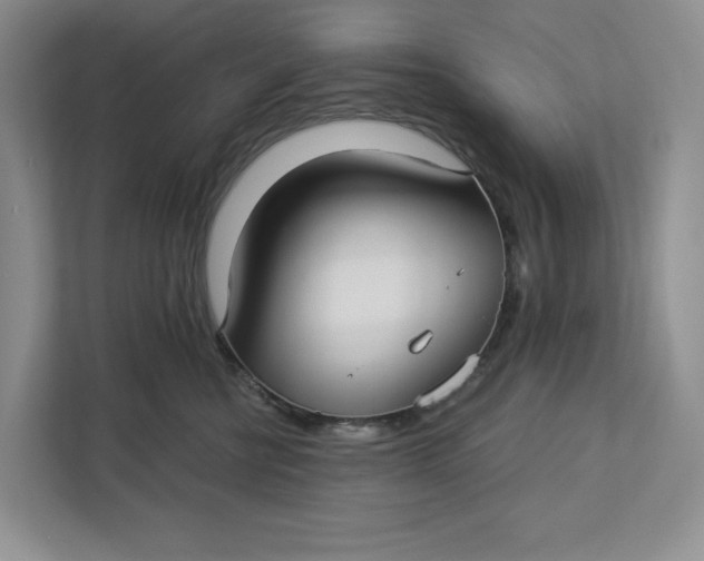 X0000112940570200909141349