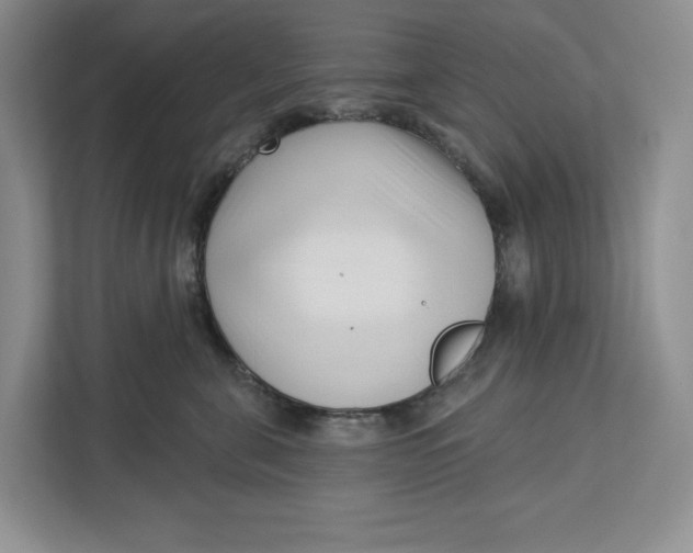 X0000112940571200909141349