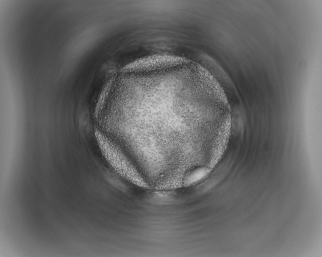 X0000112940573200909141349