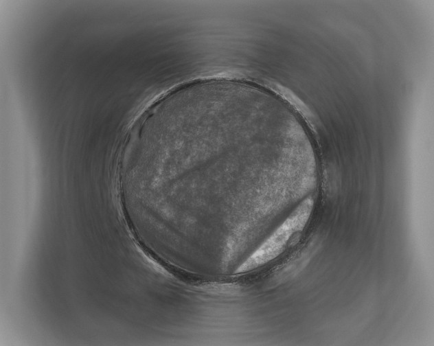 X0000112940577200909141349