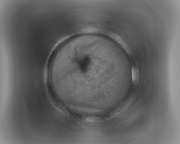 X0000112940579200909141349
