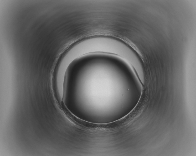 X0000112940581200909141349