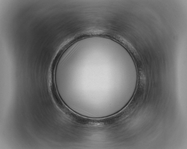 X0000112940582200909141349