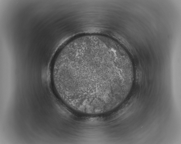X0000112940584200909141349