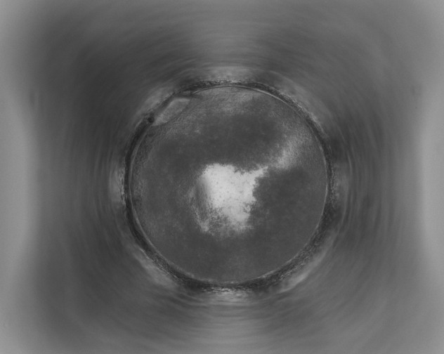 X0000112940585200909141349