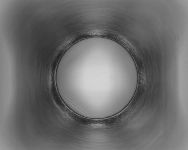 X0000112940586200909141349