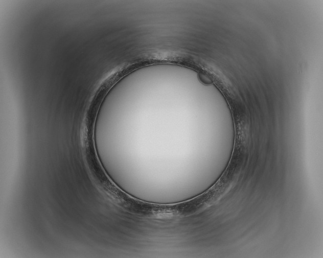 X0000112940587200909141349