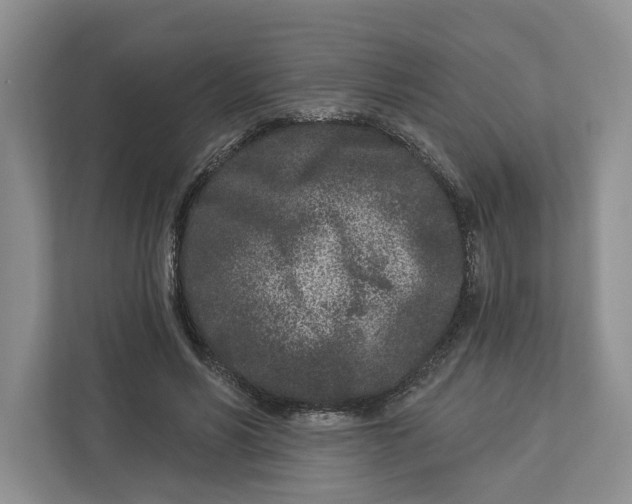 X0000112940590200909141349
