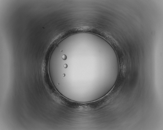 X0000112940591200909141348