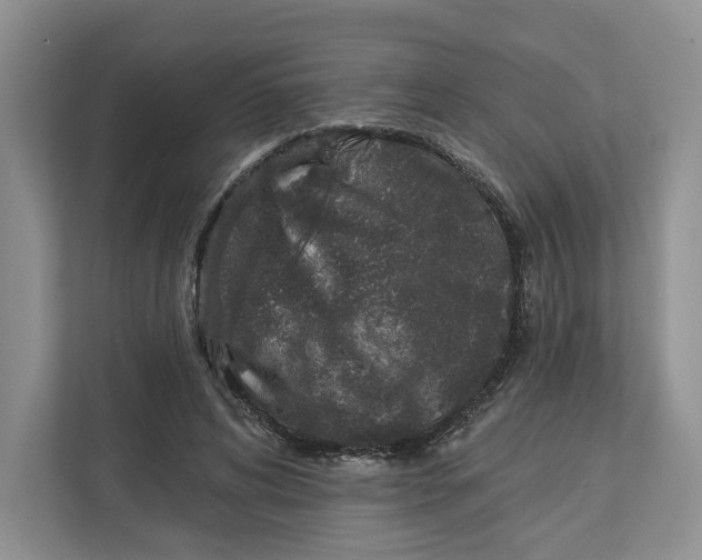 X0000112940592200909141348