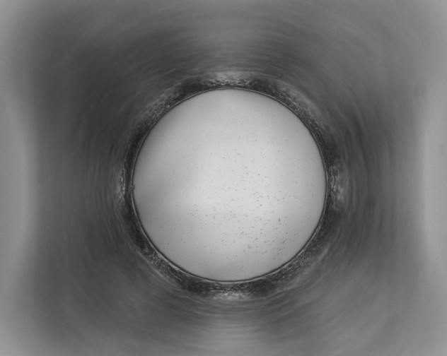X0000112940593200909141348