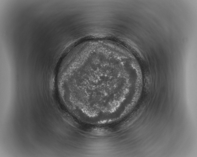 X0000112940596200909141348
