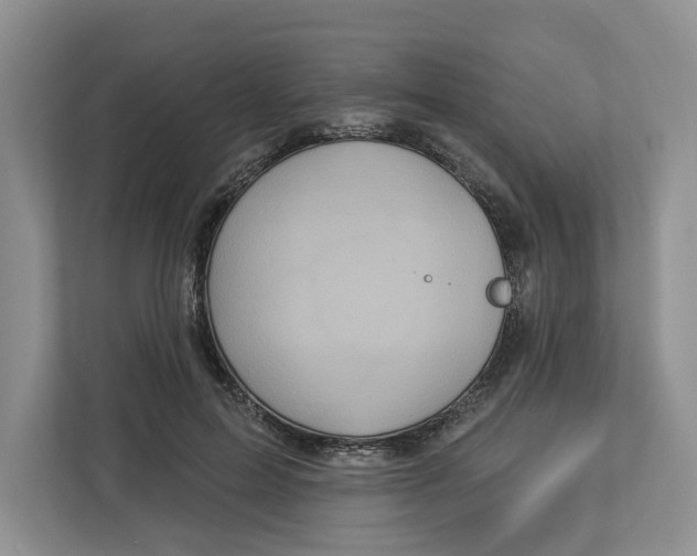 X0000112940599200909141348
