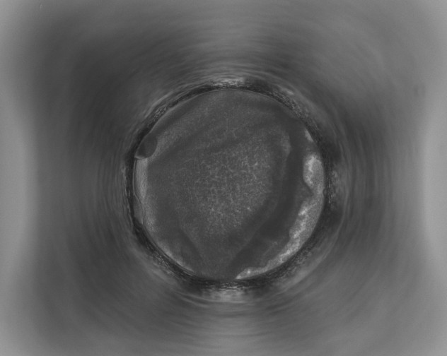 X0000112940600200909141348