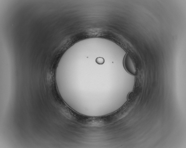 X0000112940601200909141348