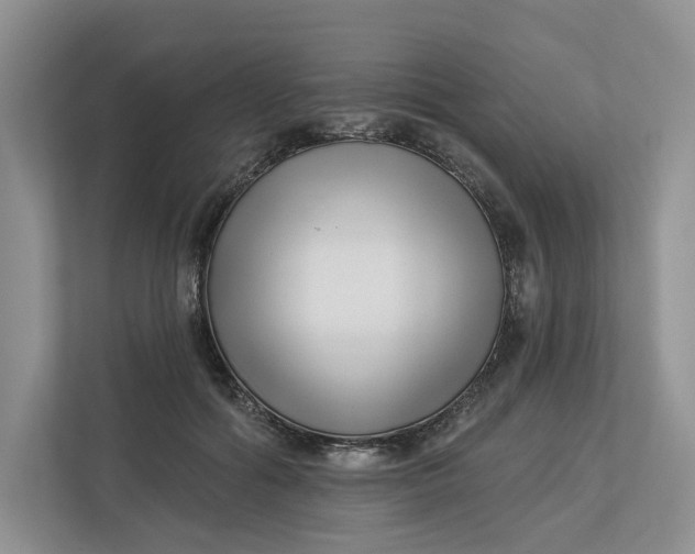 X0000112940602200909141348