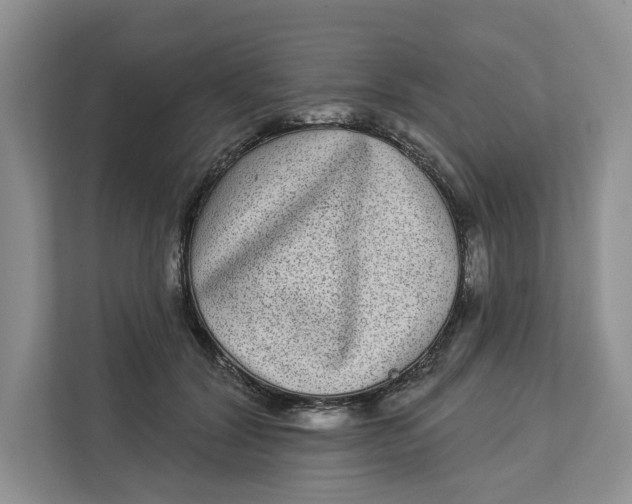 X0000112940604200909141348