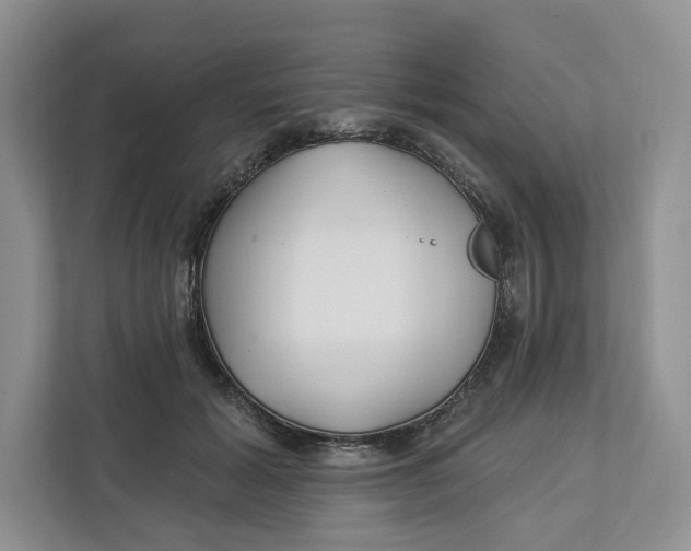 X0000112940605200909141348