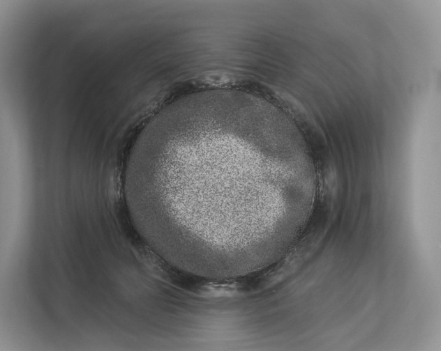 X0000112940606200909141348