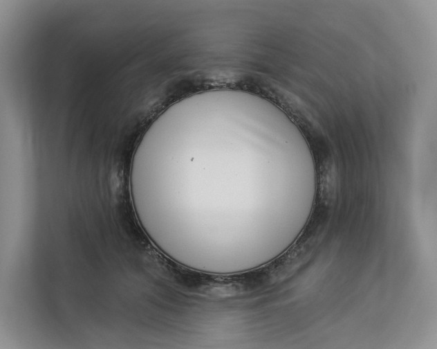X0000112940608200909141348
