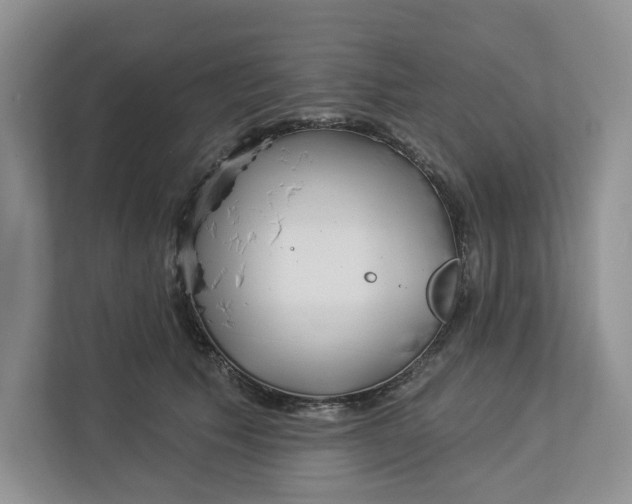 X0000112940609200909141348