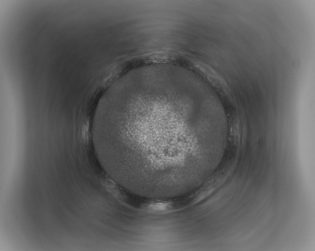 X0000112940610200909141348