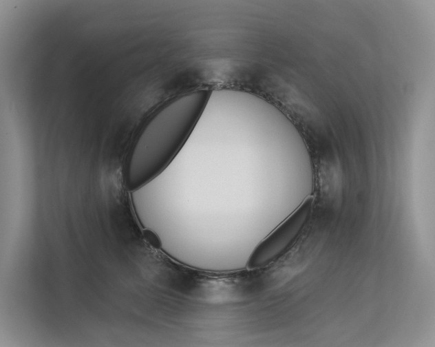 X0000112940611200909141348