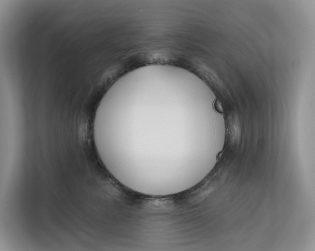 X0000112940619200909141348