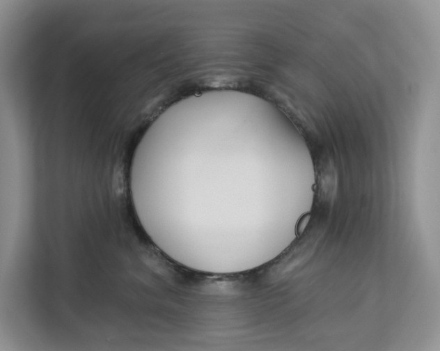 X0000112940620200909141348