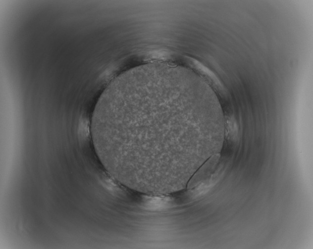 X0000112940621200909141348