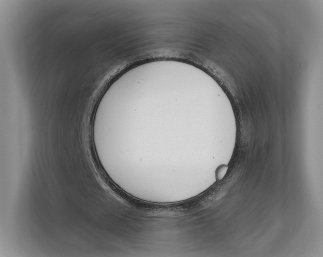 X0000112940625200909141347