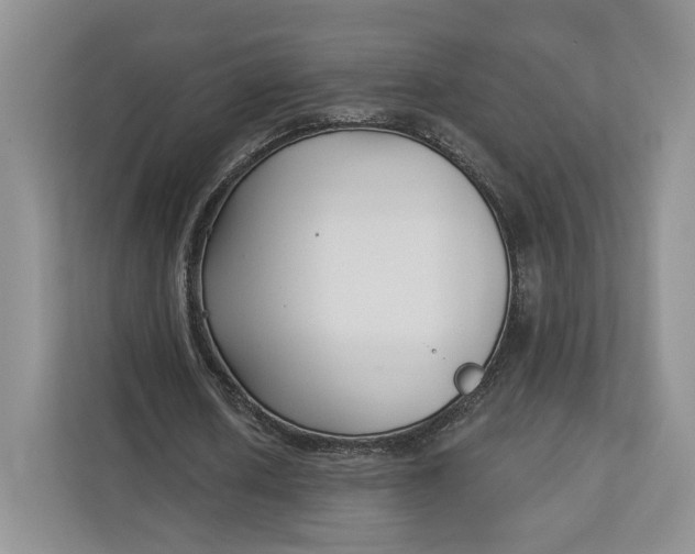 X0000112940626200909141347