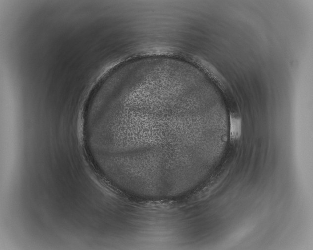 X0000112940627200909141347