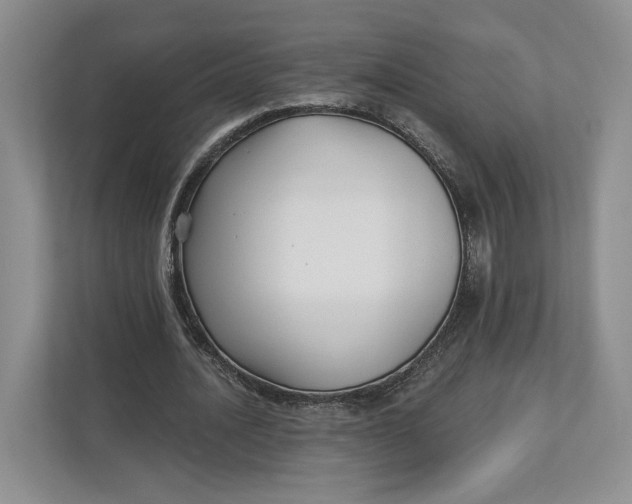 X0000112940628200909141347