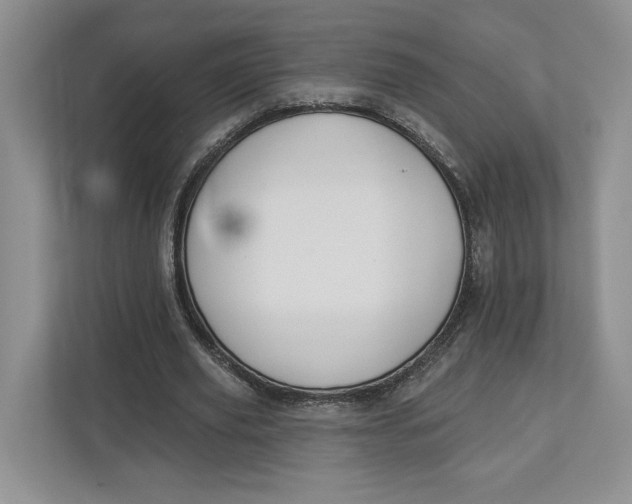 X0000112940629200909141347