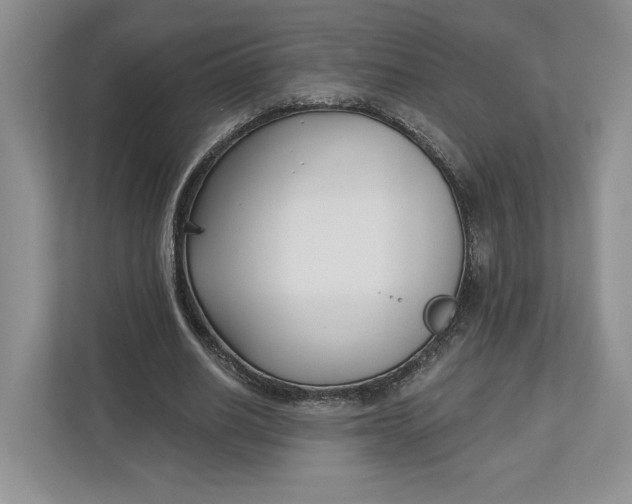 X0000112940630200909141347
