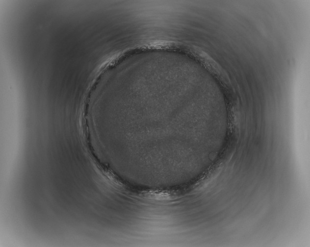 X0000112940640200909141348