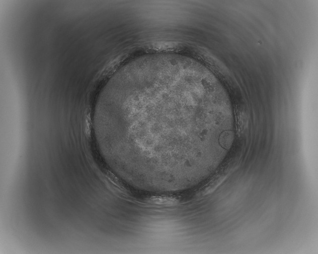 X0000112940644200909141348
