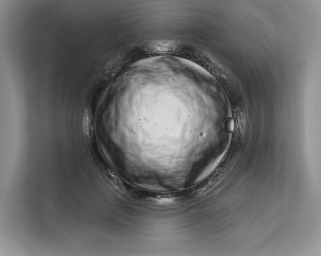 X0000112940651200909141348
