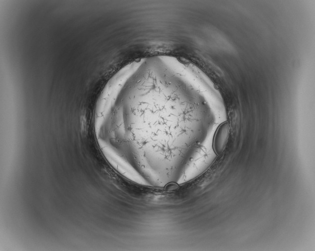 X0000112940655200909141348