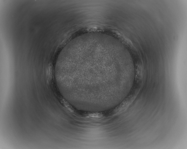 X0000112940659200909141348